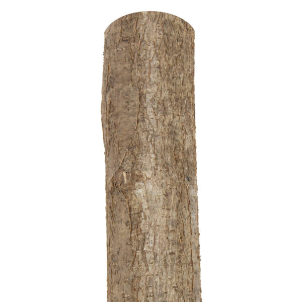 Holzpfosten Hasel rund, naturbelassen, Ø 7-9 cm