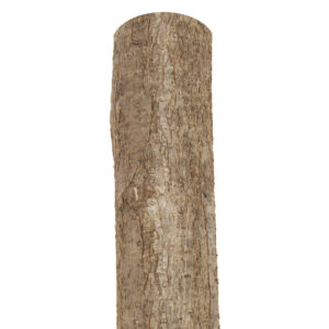 Holzpfosten Hasel rund, naturbelassen, gespitzt Ø 7-9 x 120 cm